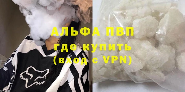 стафф Надым