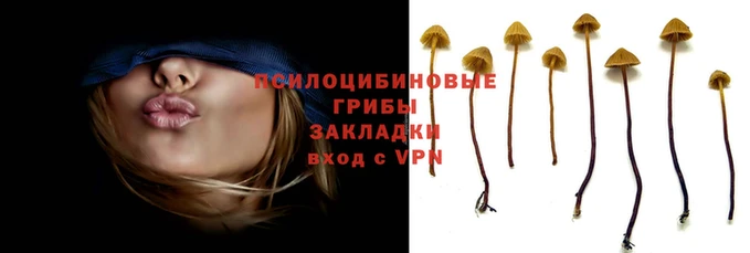 a pvp Михайловка