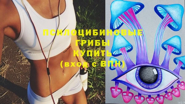 a pvp Михайловка