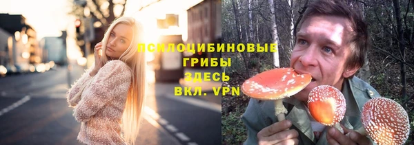 стафф Надым