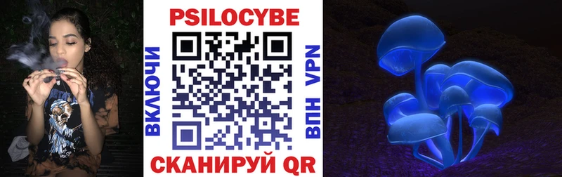 Галлюциногенные грибы GOLDEN TEACHER Санкт-Петербург