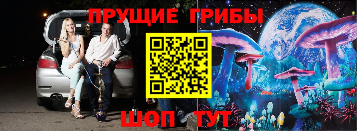 Галлюциногенные грибы MAGIC MUSHROOMS  Вход с VPN  Санкт-Петербург 
