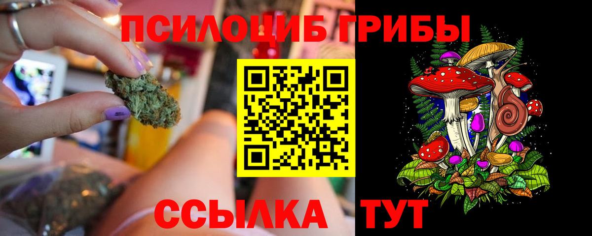 Галлюциногенные грибы Psilocybine cubensis Санкт-Петербург